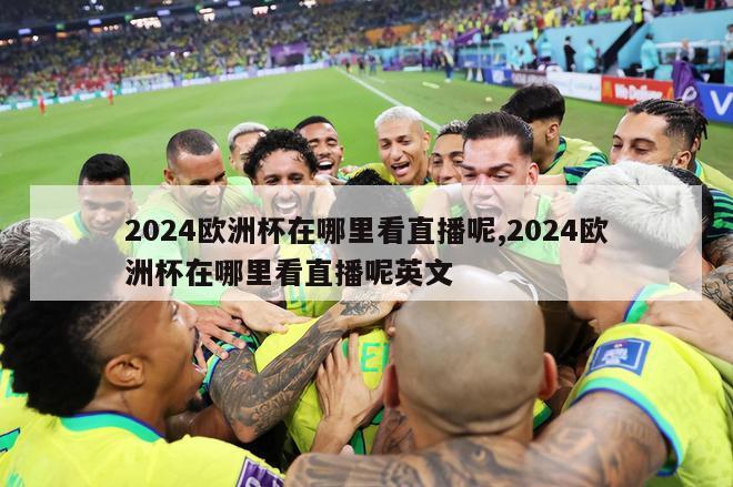 2024欧洲杯在哪里看直播呢,2024欧洲杯在哪里看直播呢英文