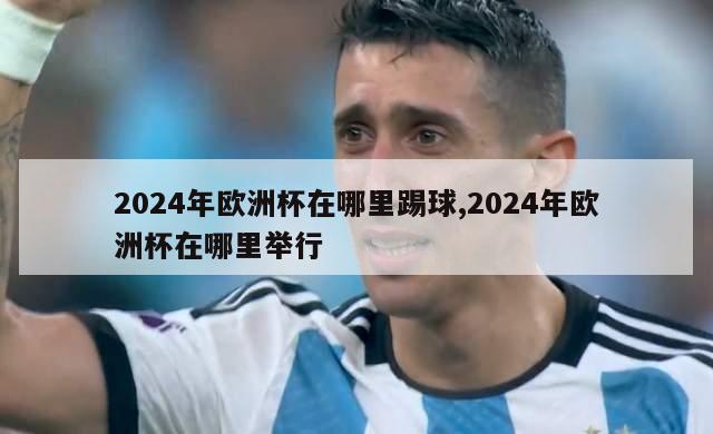 2024年欧洲杯在哪里踢球,2024年欧洲杯在哪里举行