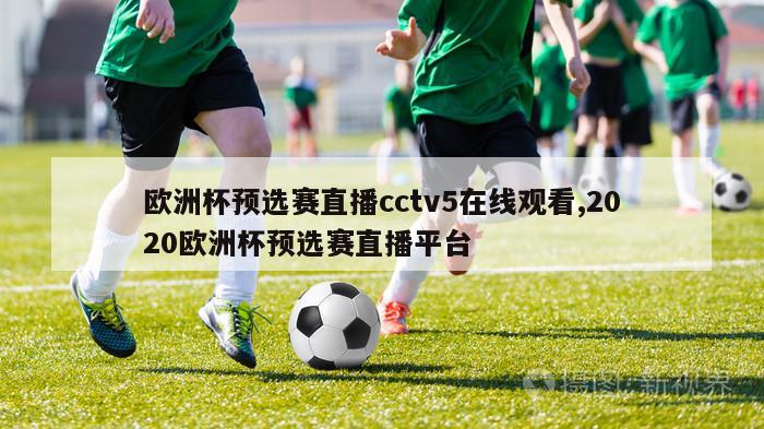 欧洲杯预选赛直播cctv5在线观看,2020欧洲杯预选赛直播平台