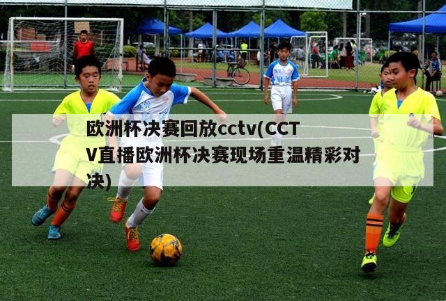 欧洲杯决赛回放cctv(CCTV直播欧洲杯决赛现场重温精彩对决)