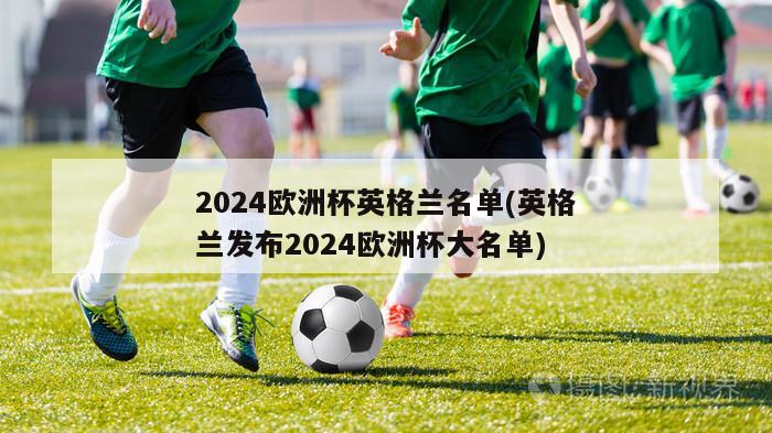 2024欧洲杯英格兰名单(英格兰发布2024欧洲杯大名单)