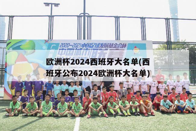 欧洲杯2024西班牙大名单(西班牙公布2024欧洲杯大名单)