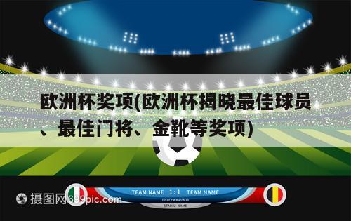 欧洲杯奖项(欧洲杯揭晓最佳球员、最佳门将、金靴等奖项)