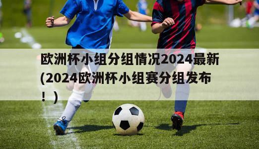 欧洲杯小组分组情况2024最新(2024欧洲杯小组赛分组发布！)