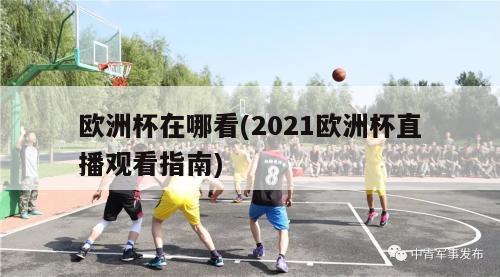 欧洲杯在哪看(2021欧洲杯直播观看指南)