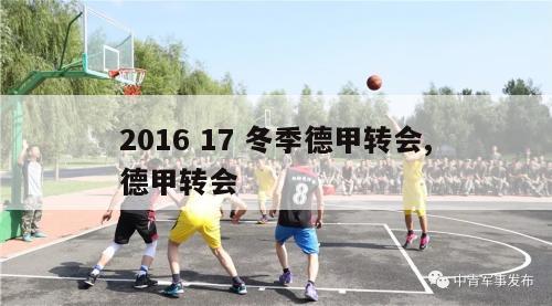 2016 17 冬季德甲转会,德甲转会