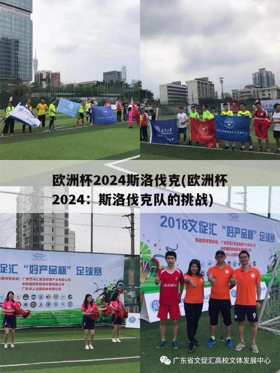 欧洲杯2024斯洛伐克(欧洲杯2024：斯洛伐克队的挑战)