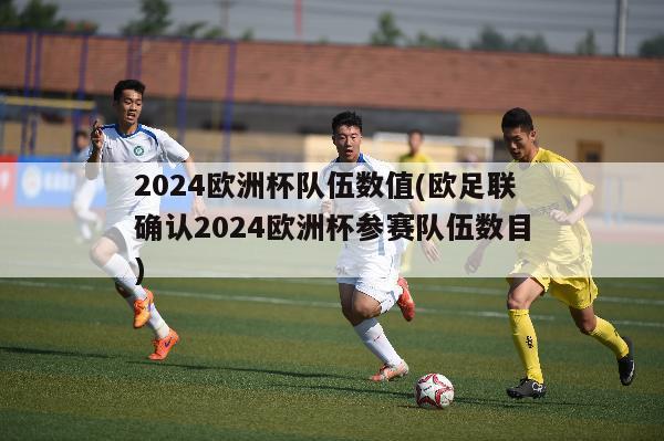 2024欧洲杯队伍数值(欧足联确认2024欧洲杯参赛队伍数目)